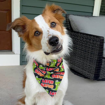 Tie and Snap Later Gator by Life for Pawz – Handmade for pets