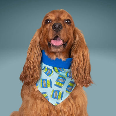Tie and Snap Pickle Lovers by Life for Pawz – Handmade for pets