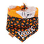 Tie and Snap Pumpkin Pals by Life for Pawz – Handmade for pets
