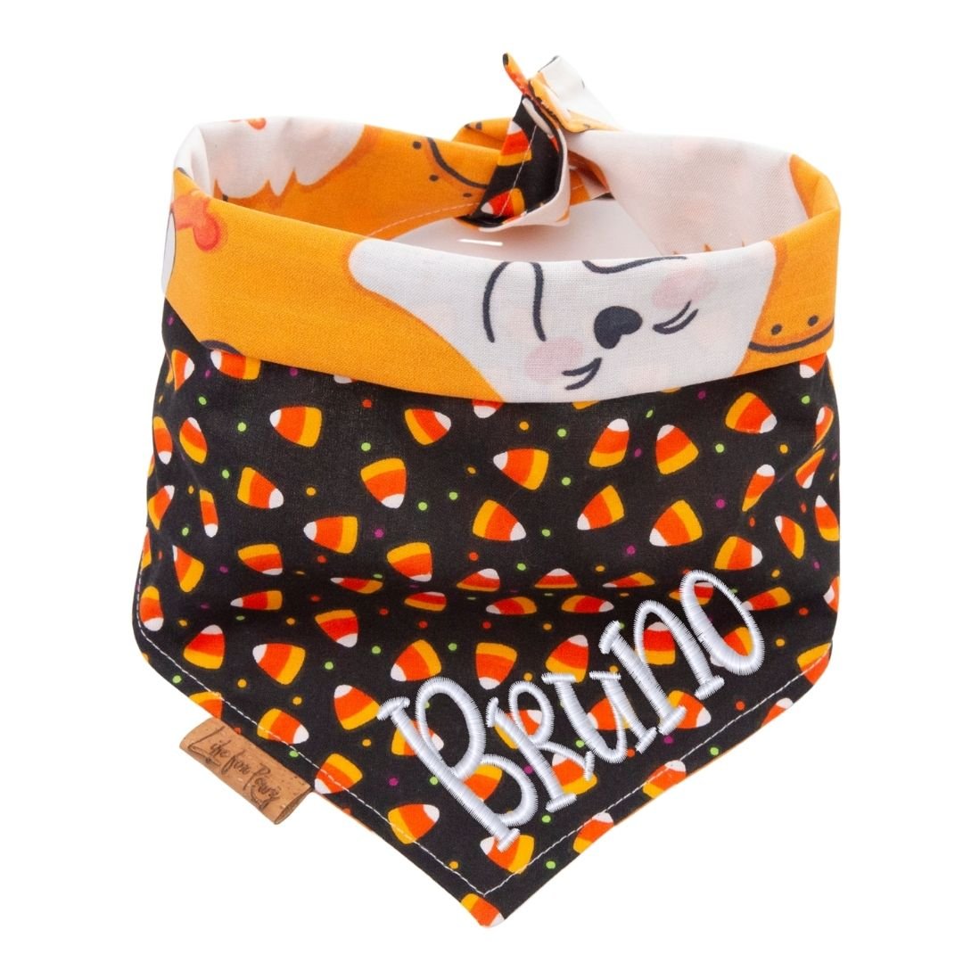 Tie and Snap Pumpkin Pals by Life for Pawz – Handmade for pets