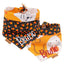Tie and Snap Pumpkin Pals by Life for Pawz – Handmade for pets