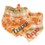 Tie and Snap Pumpkin Spice Plaid by Life for Pawz – Handmade for pets