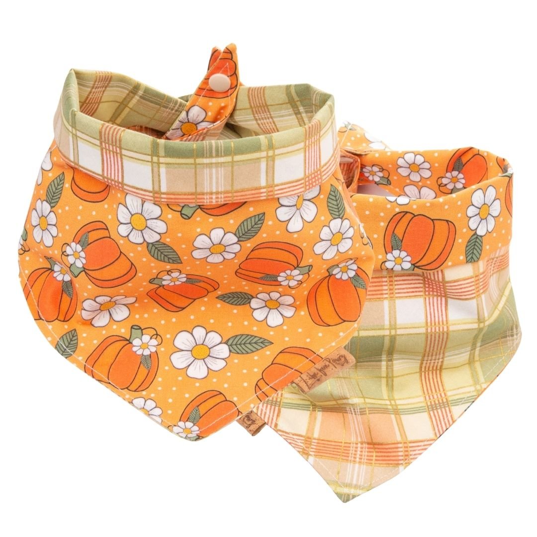 Tie and Snap Pumpkin Spice Plaid by Life for Pawz – Handmade for pets