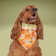 Tie and Snap Pumpkin Spice Plaid by Life for Pawz – Handmade for pets