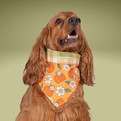 Tie and Snap Pumpkin Spice Plaid by Life for Pawz – Handmade for pets