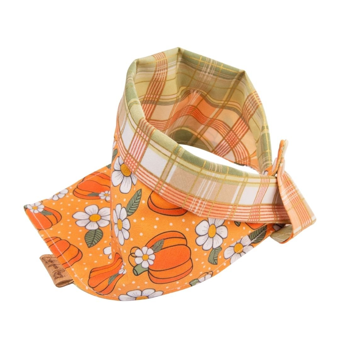 Tie and Snap Pumpkin Spice Plaid by Life for Pawz – Handmade for pets