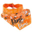 Tie and Snap Spooky Ghost Candy Corn by Life for Pawz – Handmade for pets