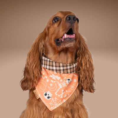 Tie and Snap Spooky Plaid by Life for Pawz – Handmade for pets