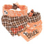 Tie and Snap Spooky Plaid by Life for Pawz – Handmade for pets