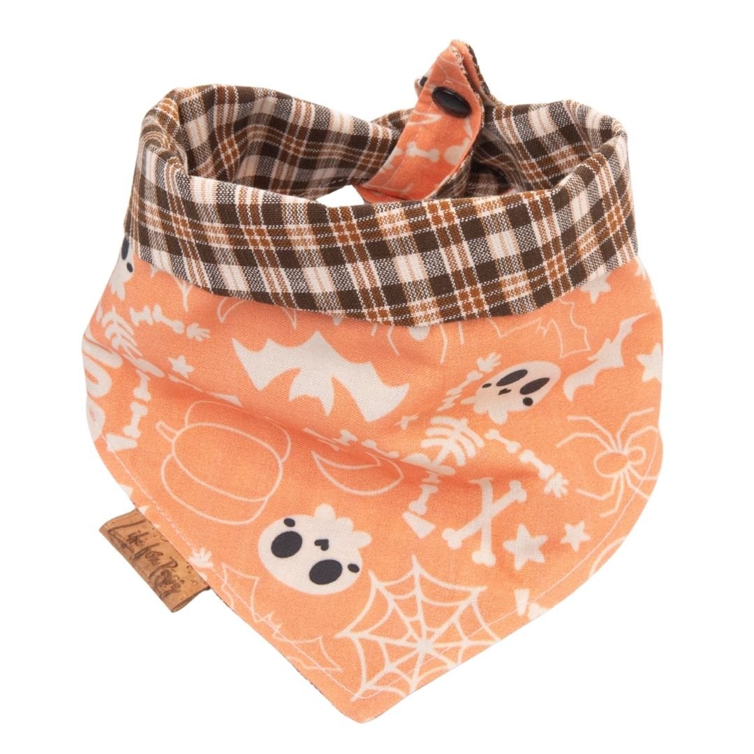 Tie and Snap Spooky Plaid by Life for Pawz – Handmade for pets
