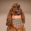 Tie and Snap Spooky Plaid by Life for Pawz – Handmade for pets