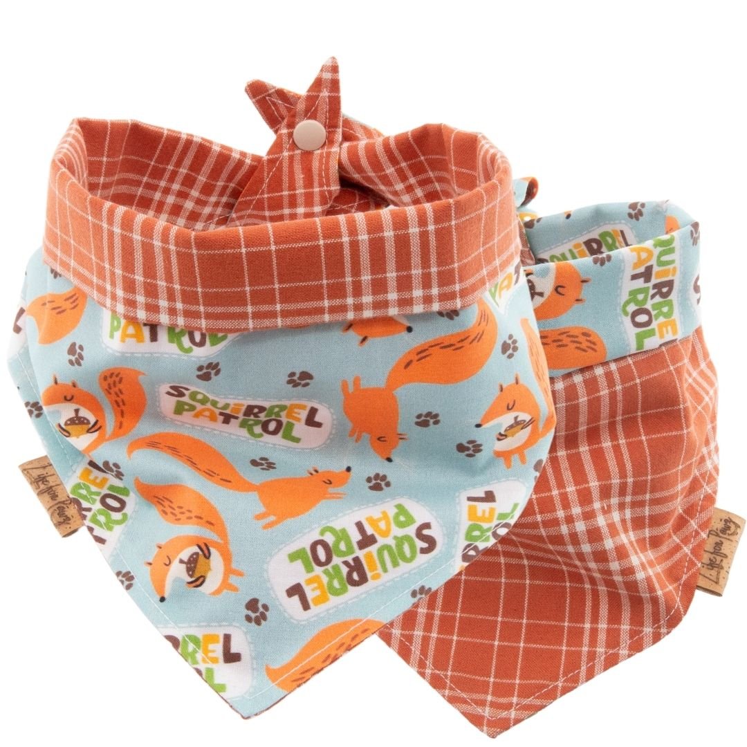 Tie and Snap Squirrel Patrol by Life for Pawz – Handmade for pets