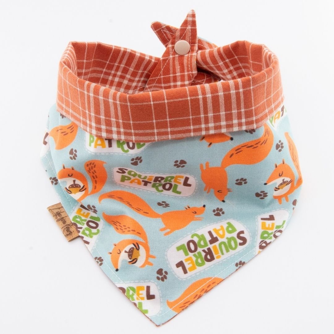 Tie and Snap Squirrel Patrol by Life for Pawz – Handmade for pets