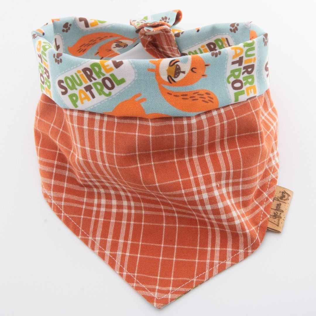 Tie and Snap Squirrel Patrol by Life for Pawz – Handmade for pets