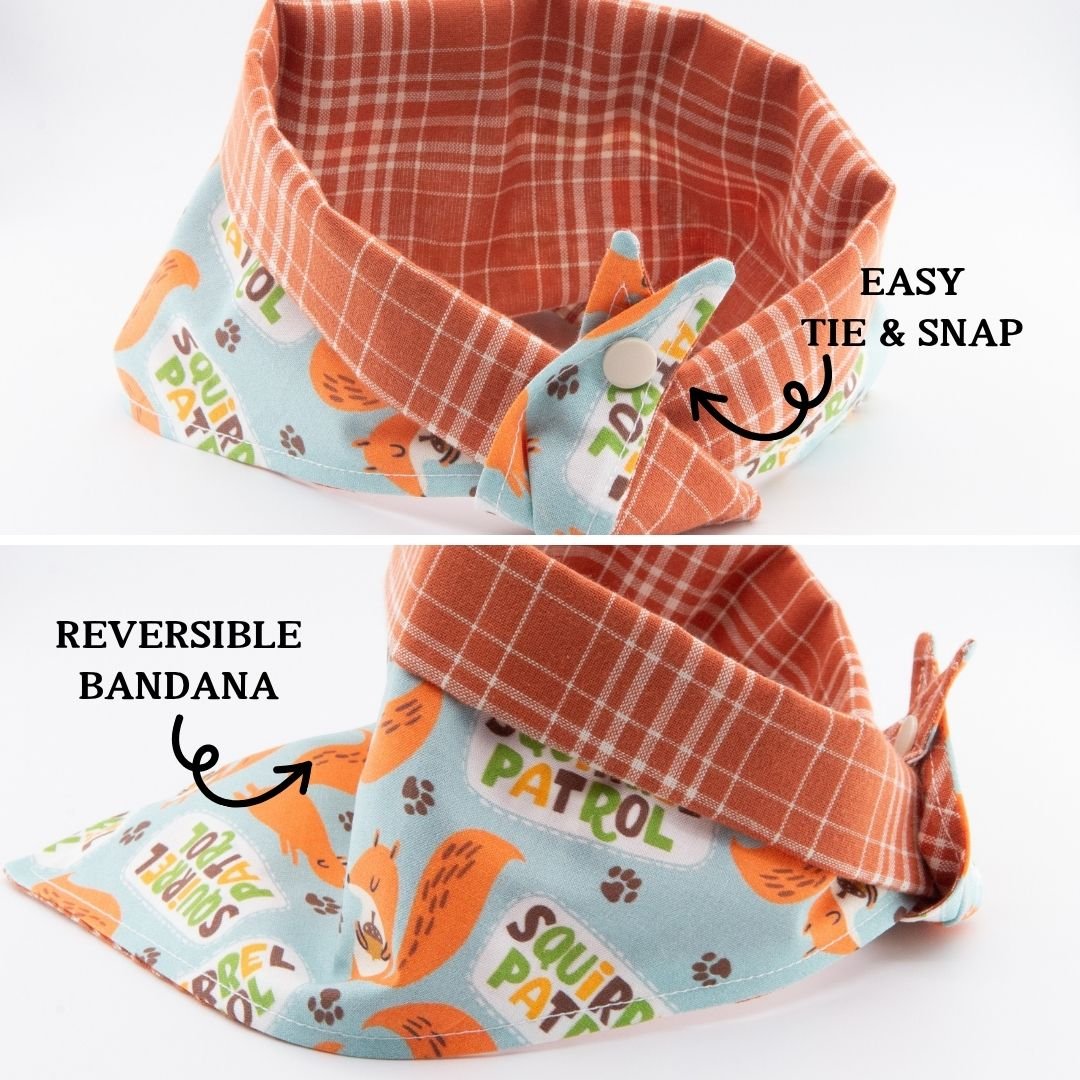 Tie and Snap Squirrel Patrol by Life for Pawz – Handmade for pets