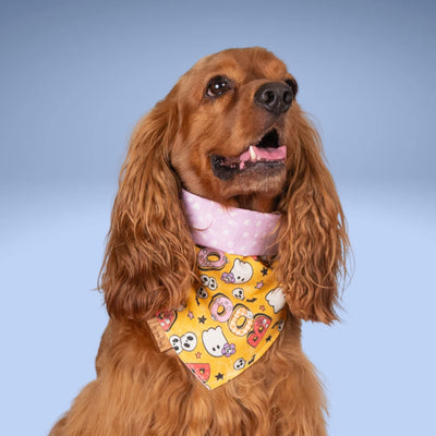 Tie and Snap Sweet and Spooky by Life for Pawz – Handmade for pets