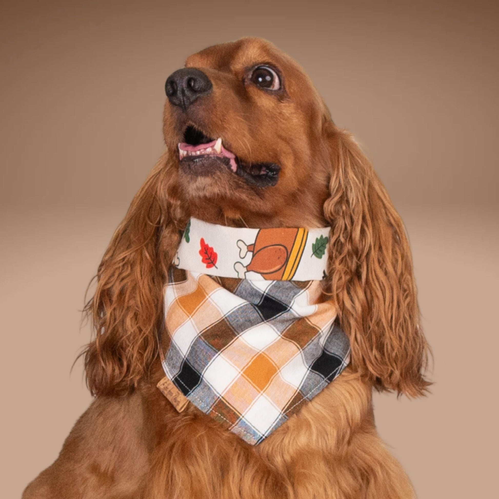 Tie and Snap Turkey Taster by Life for Pawz – Handmade for pets