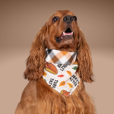 Tie and Snap Turkey Taster by Life for Pawz – Handmade for pets