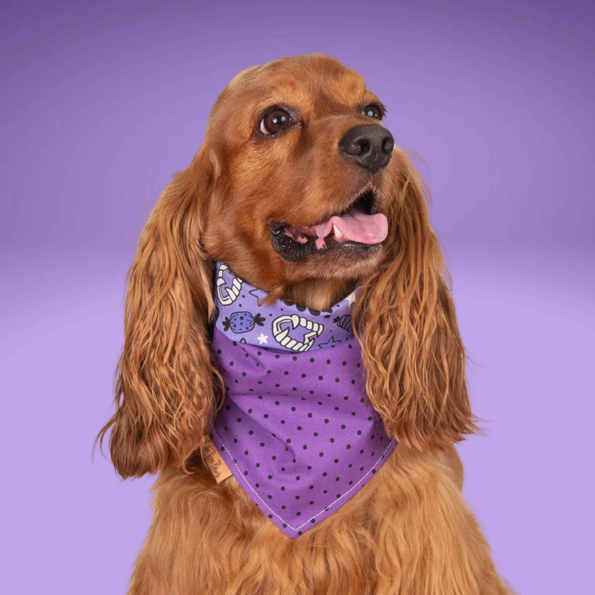 Tie and Snap Wicked Treats by Life for Pawz – Handmade for pets