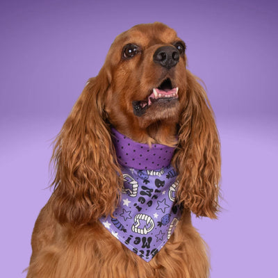 Tie and Snap Wicked Treats by Life for Pawz – Handmade for pets