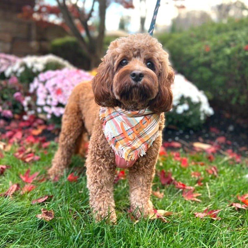 Autumn Flannel Dog Bandana - Life for Pawz