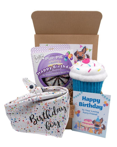 Birthday Boy and Girl - Reversible Birthday Dog Bandana Gift Box and Cake - Life for Pawz