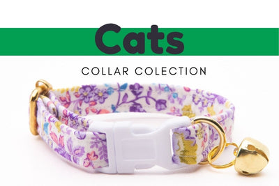 Dog bandana Cat Collar - Graduation announcement Cat Collar / Spring, Easter, Summer, Fall / Cat and Kitten - Life for Pawz -