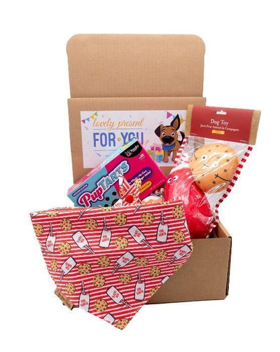 Christmas Dog Bandana Gift Box - Life for Pawz
