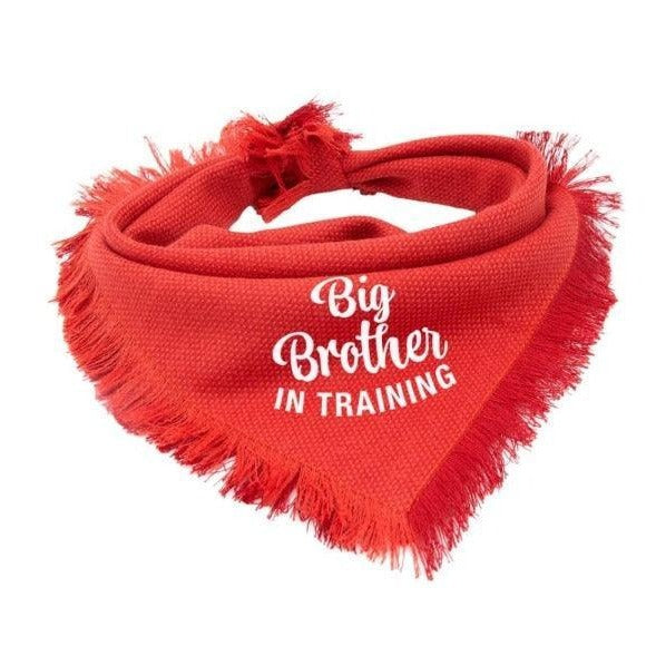 Dog bandana baby announcement - Big brother in training - Life for Pawz