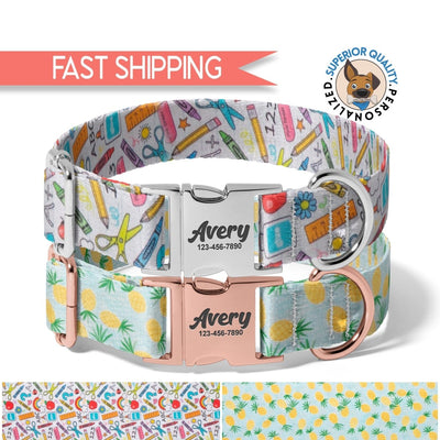 Dog bandana Dog Collar - Personalized Back-to-School Pet Collars, Collars for Girls, Puppy Collar, gifts for pets, engraved with your dog's name - Life for Pawz -
