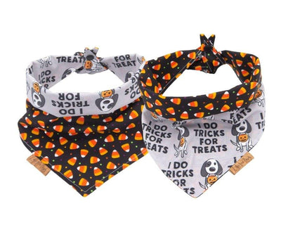 Halloween dog bandana - I do Trick for Treats - Life for Pawz