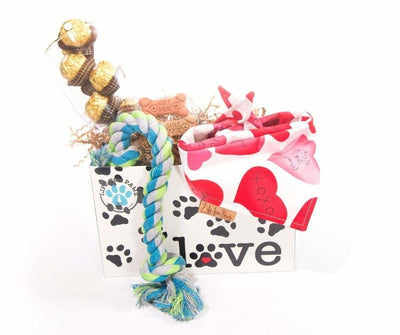 New Dog Owner Valentines Gift Box - Life for Pawz