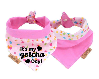 Pink Birthday Dog Bandana - Life for Pawz