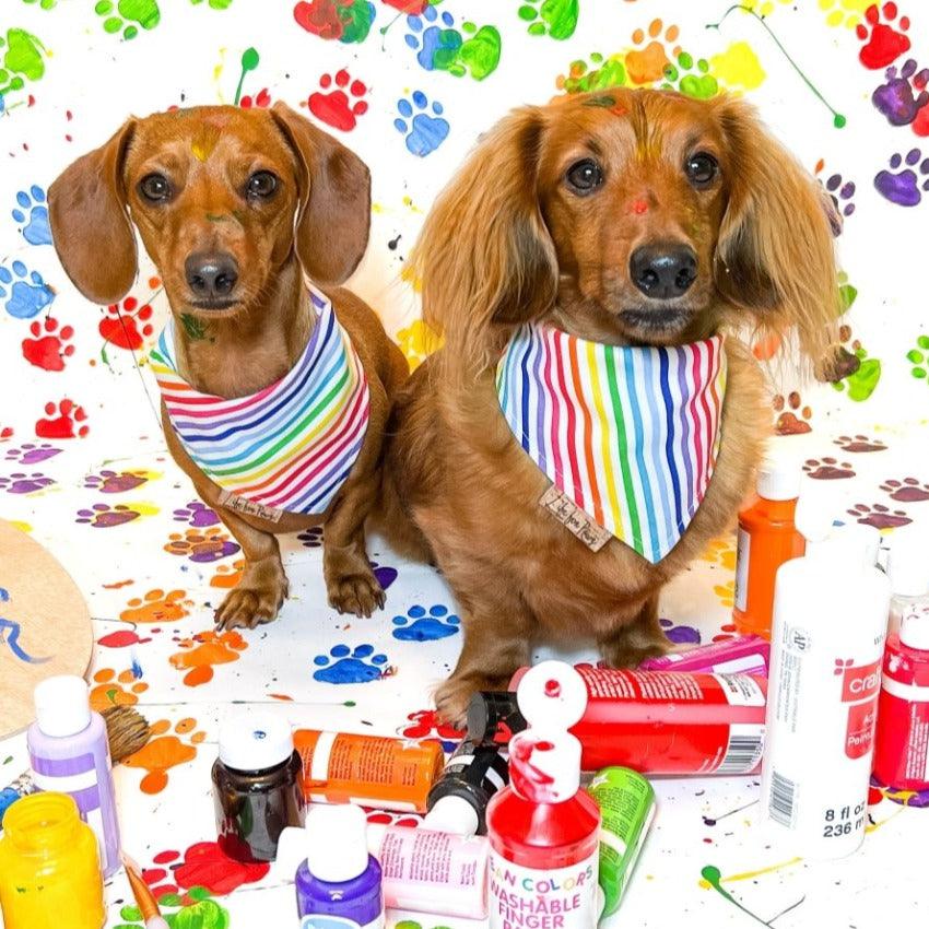 Rainbow Hearts Reversible Dog Bandana - Life for Pawz