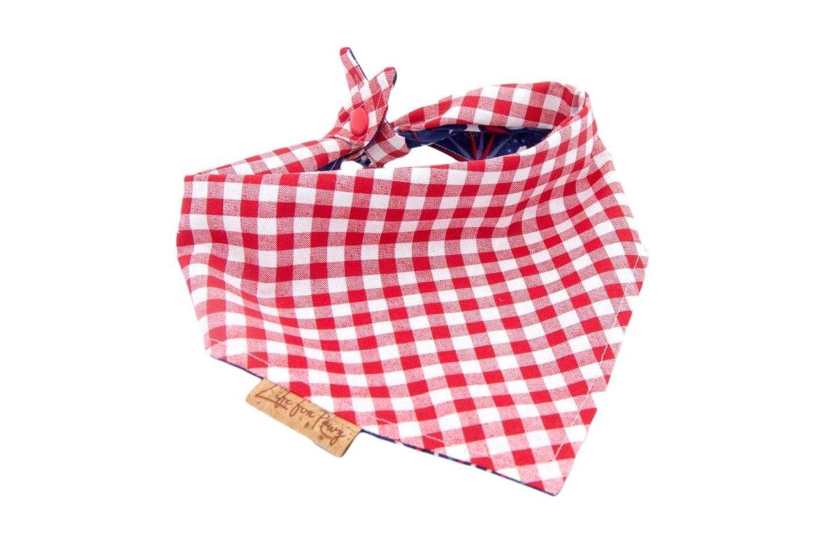 Reversible Dog Bandana - Popsicle with stars and Red Gingham - Life for Pawz