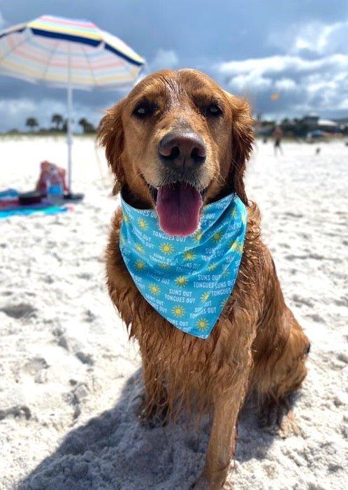 Suns Out Reversible Dog Bandana - Life for Pawz