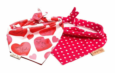 Valentines Love Hearts Reversible Dog Bandana - Life for Pawz