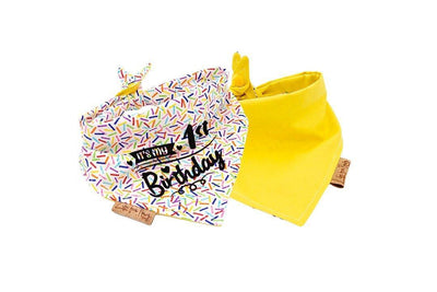 Yellow Birthday Dog Bandana - It's my 1st Birthday - Life for Pawz