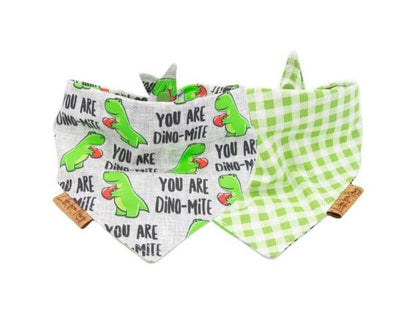 You are Dino-Mite - Valentines day - Reversible Dog Bandana - Life for Pawz