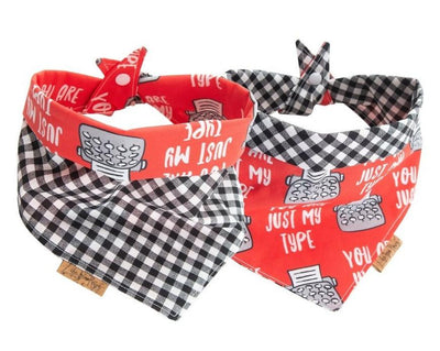 You are Just My Type Valentine day dog bandana - Life for Pawz